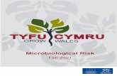 Microbiological Risk - English