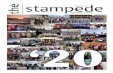 stampede - westada.org