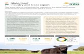 GLOBAL MARKETS STRATEGIES CONSUL Global beef TATION #1 ...