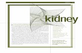 Kidney chapter, 2010 SRTR & OPTN Annual Data Report