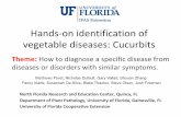Hands-on identification of vegetable diseases: Cucurbits