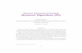 Quantum Information Processing Quantum Algorithms (III)