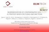 BIOREMEDIATION OF CONTAMINATED SOIL: A STRATEGY …