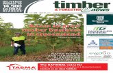 Room to grow timber business in Queensland