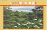 Tamil News Letter -2 - CICT