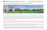 Artificial Turf Improves Batting Cages | Watersavers Turf News