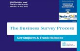 The Business Survey Process