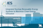 Integrated Nuclear-Renewable Energy Systems to Maximize ...