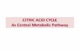 CITRIC ACID CYCLE As Central Metabolic Pathway - unizg.hr