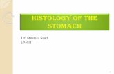Histology of the Stomach