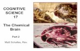 COGNITIVE SCIENCE 17 The Chemical Brain