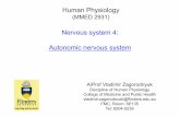 Human Physiology Nervous system 4: Autonomic nervous system