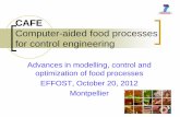 Computer-aided food processes for control engineering