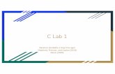 C Lab 1 - gw-cs2461-2021.github.io