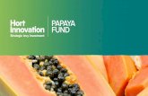 PR and Social Media Marketing Update - Papaya Australia