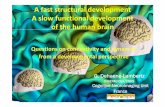 A fast structural development A slow ... - crm.umontreal.ca