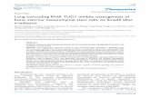 Research Paper Long noncoding RNA TUG1 inhibits ...