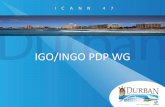 IGO/INGO PDP WG - ICANN | Archives