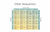 DNA Sequence - Sinica