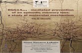 RGS14 (414)-mediated prevention of an episodic memory loss ...
