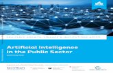 Artificial Intelligence in the Public Sector