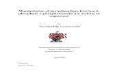 Manipulation of pyrophosphate fructose 6-phosphate 1 ...