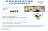 Colourful Flowers Instructions - Science Sparks