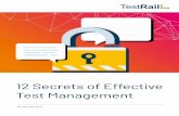 12 Secrets of Effective esManagementt T - Gurock