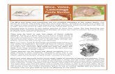 Mice, Voles, Lemmings - York County Conservation District