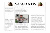 SCARABS - Bio Nica