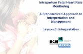 Intrapartum Fetal Heart Rate Monitoring A Standardized ...
