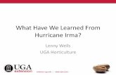 What Have We Learned From Hurricane Irma? - SEPGA