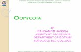 OOMYCOTA - Narajole Raj College
