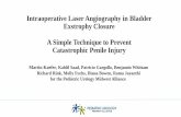 Intraoperative Laser Angiography in Bladder Exstrophy ...
