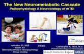The New Neurometabolic Cascade - rsvpBOOK