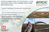 RAPID FORMATION OF POTENTIAL ACID SULFIDE SOILS …