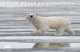 Polar Bears InternatIonal - Natural Exposures