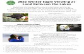Winter Eagle Viewing at Land Between the Lakes