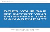 DOES YOUR SAP - Time Tracking Software Suite | Replicon
