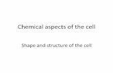 Chemical aspects of the cell - edisciplinas.usp.br
