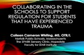 Collaborating in the Schools to Support ... - Cutchins