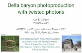 Delta baryon photoproduction with twisted photons