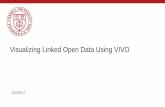 Visualizing Linked Open Data Using VIVO