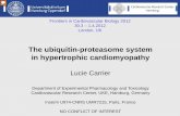 The ubiquitin-proteasome system in hypertrophic cardiomyopathy