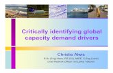 Critically identifying global capacity demand drivers