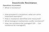 Insecticide Resistance - University of Illinois Urbana ...