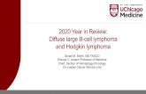 2020 Year in Review: Diffuse large B-cell lymphoma