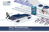 EV Program Success Roadmap V6