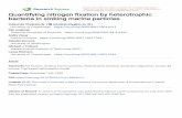 Quantifying nitrogen xation by heterotrophic bacteria in ...