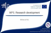 WP1: Research development